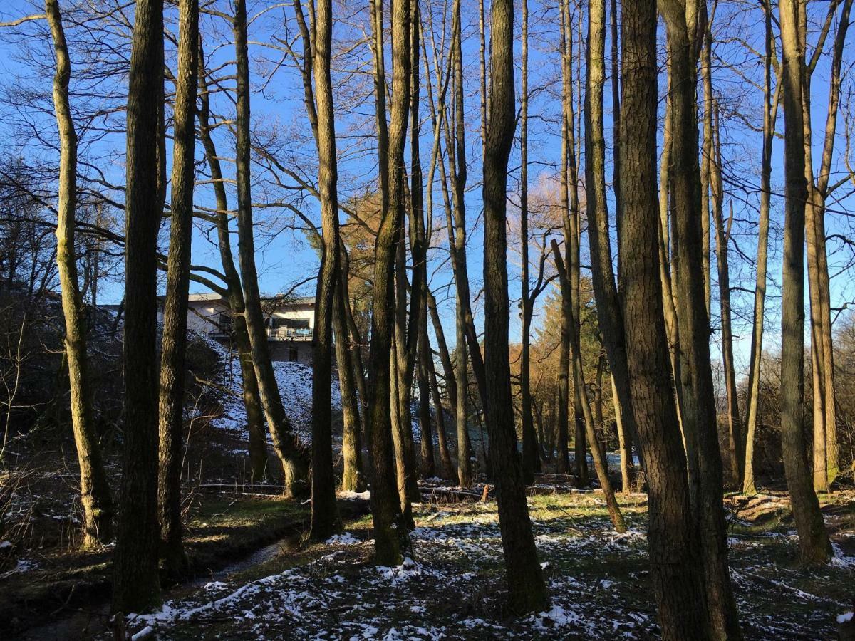 Haagalm Terrasse, Garten Nonnweiler ภายนอก รูปภาพ