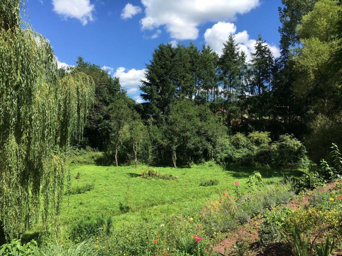 Haagalm Terrasse, Garten Nonnweiler ภายนอก รูปภาพ