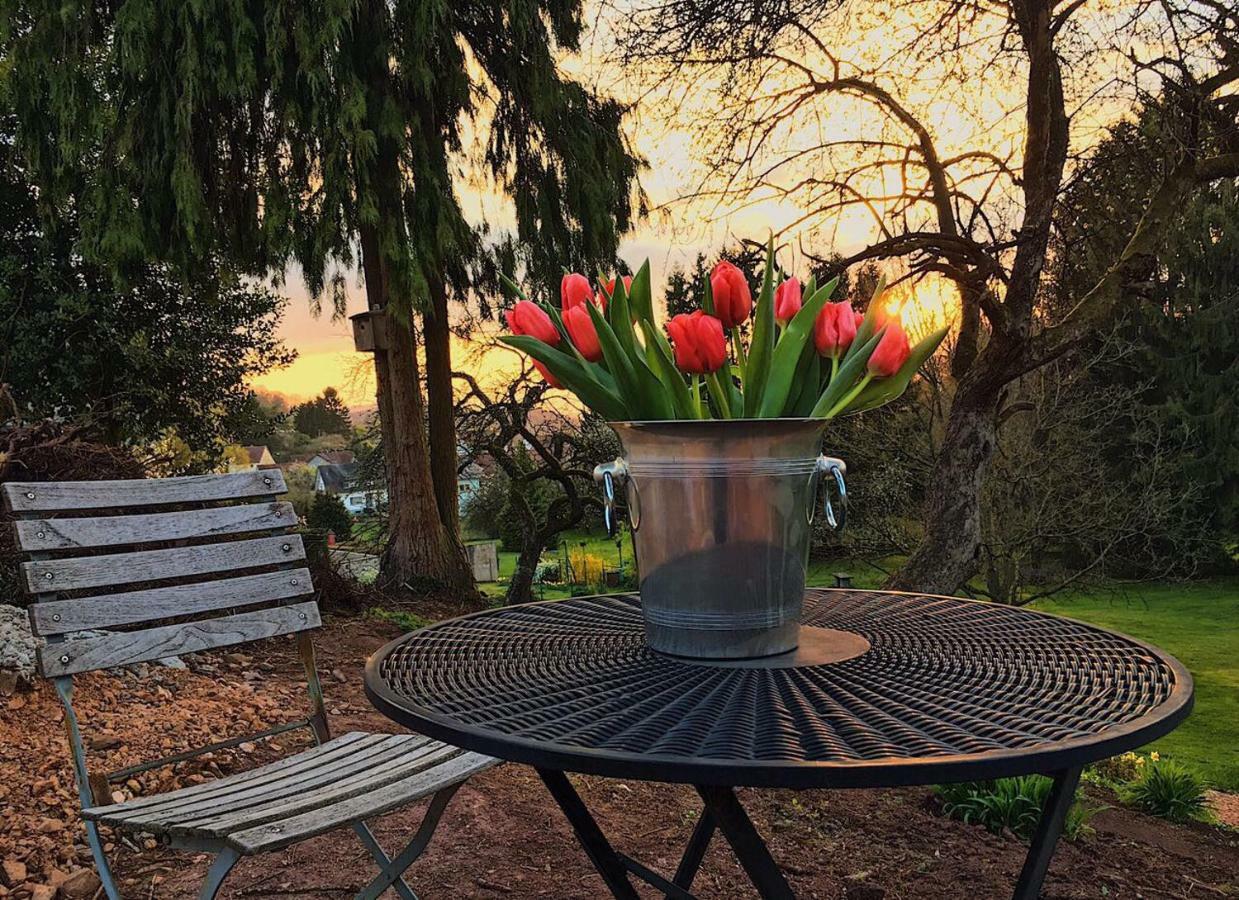 Haagalm Terrasse, Garten Nonnweiler ภายนอก รูปภาพ
