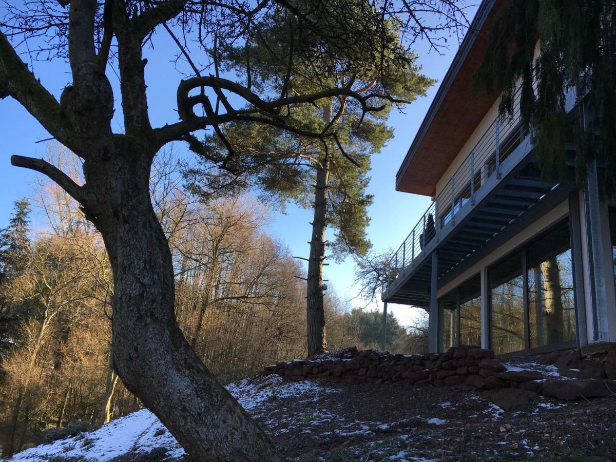 Haagalm Terrasse, Garten Nonnweiler ภายนอก รูปภาพ