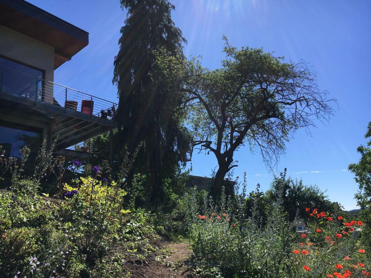 Haagalm Terrasse, Garten Nonnweiler ภายนอก รูปภาพ
